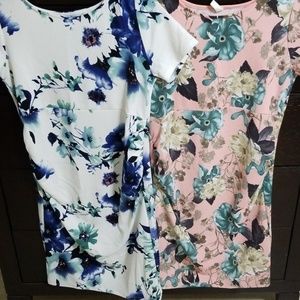 Pink Blush Fitted Dresses